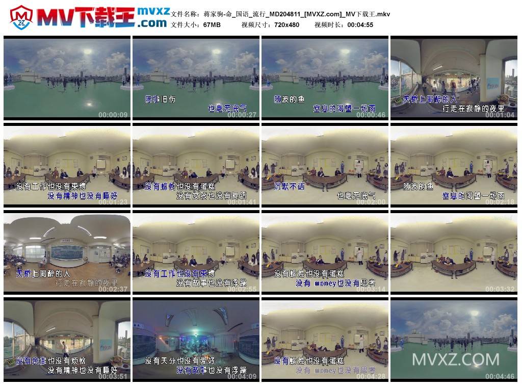 蒋家驹-命_国语_流行_MD204811